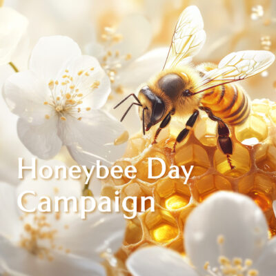 Honey bee Day Limited Set